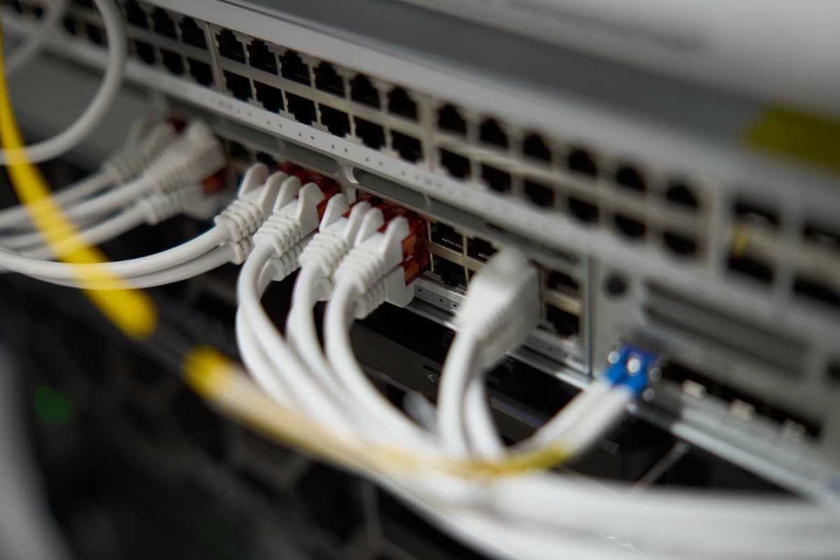 Netværkskabler tilsluttet en server-switch illustrerer moderne IT-infrastruktur med fokus på netværk og sikkerhed.